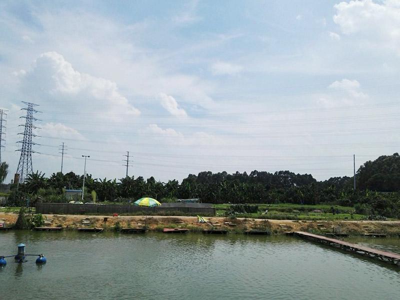 東莞釣魚